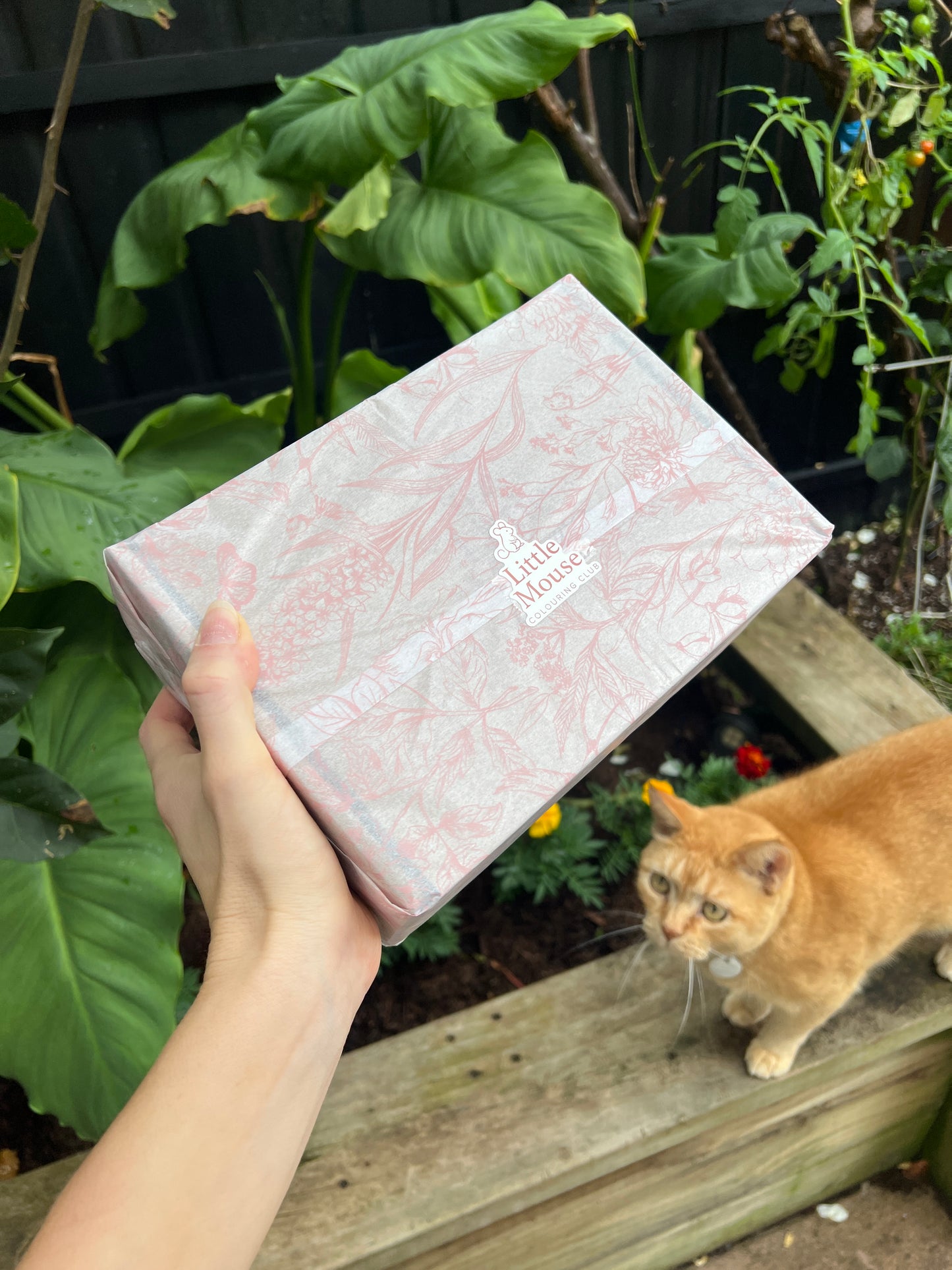 Personalised Gift Box New Zealand Bird Edition