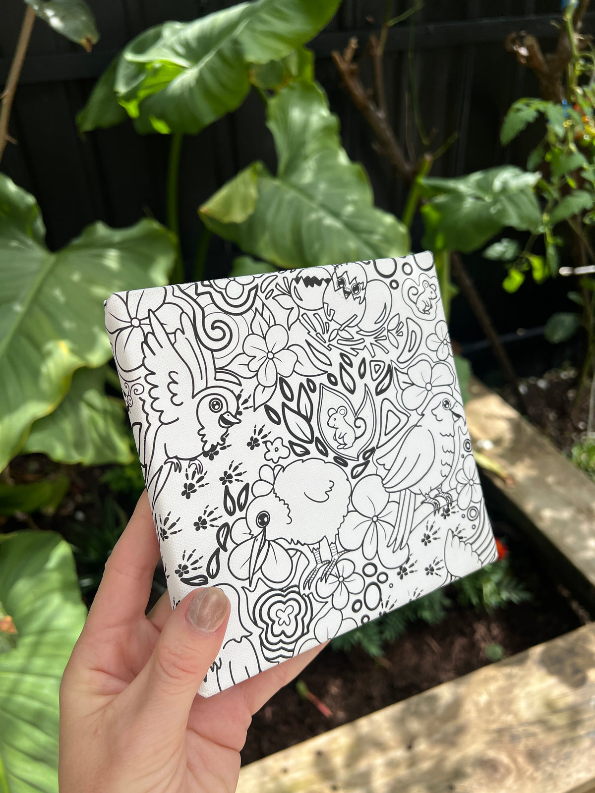 Colouring canvas- Aotearoa birds edition