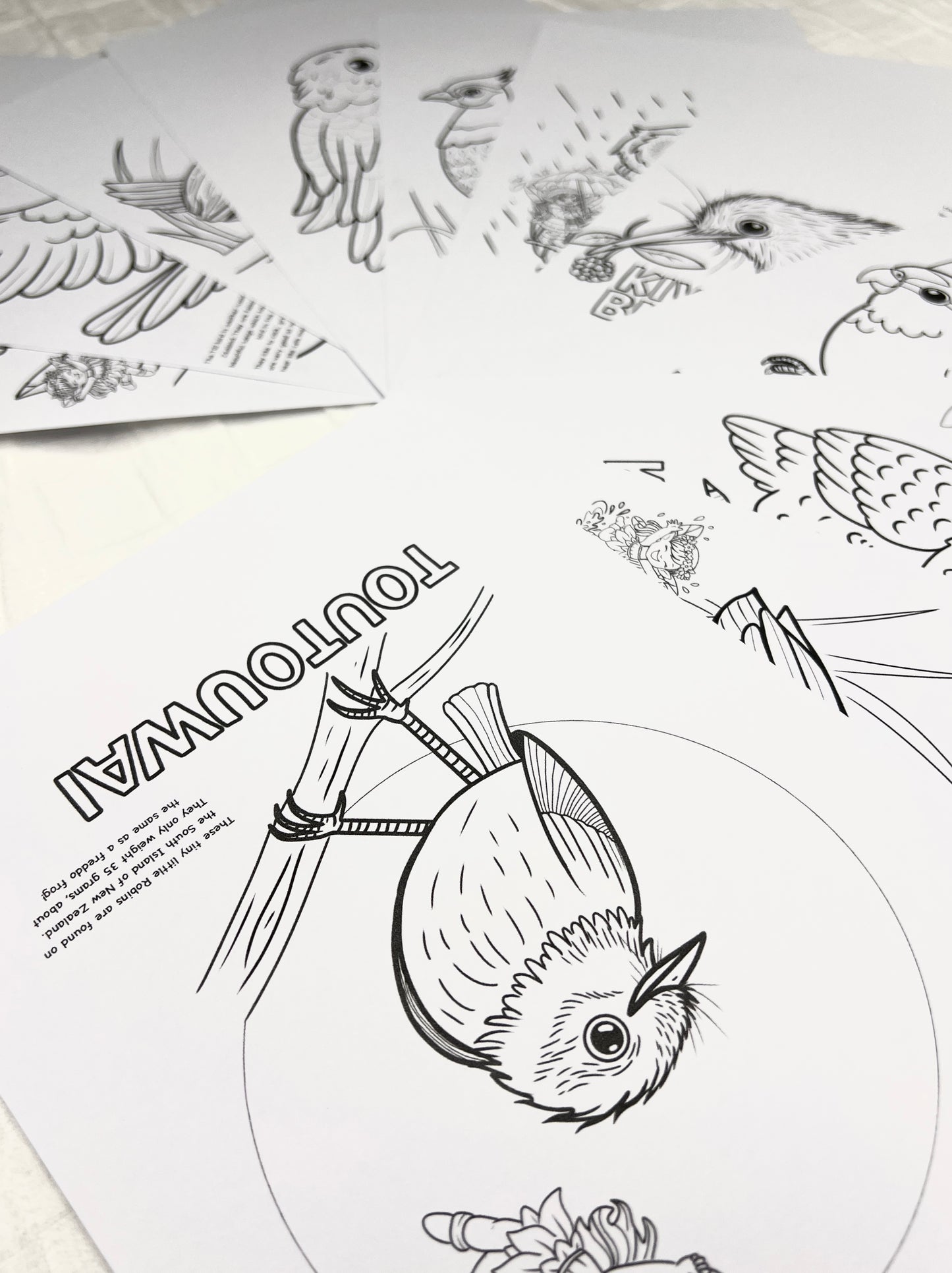 Printable Colouring stack - New Zealand bird edition