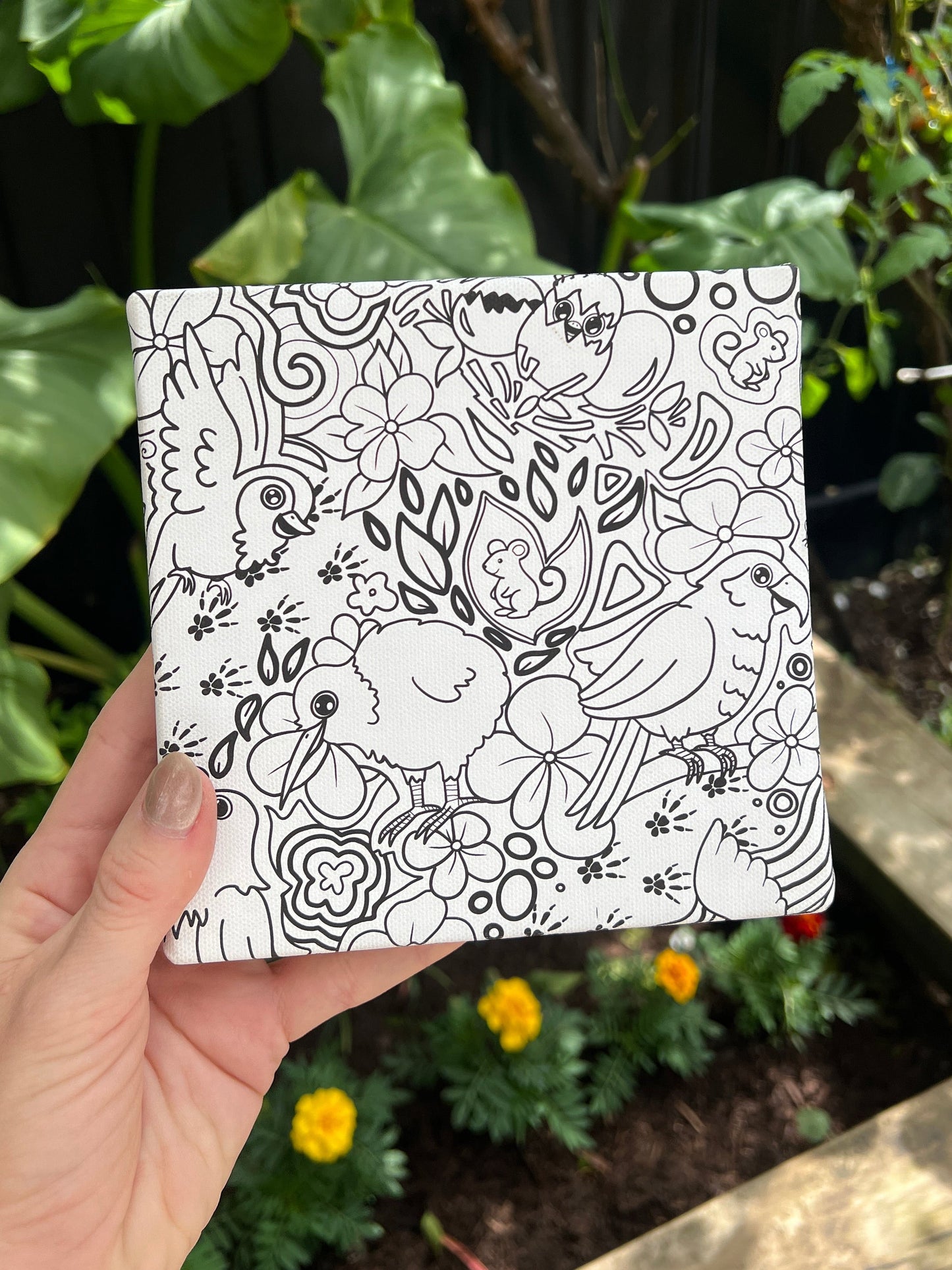Colouring canvas- Aotearoa birds edition