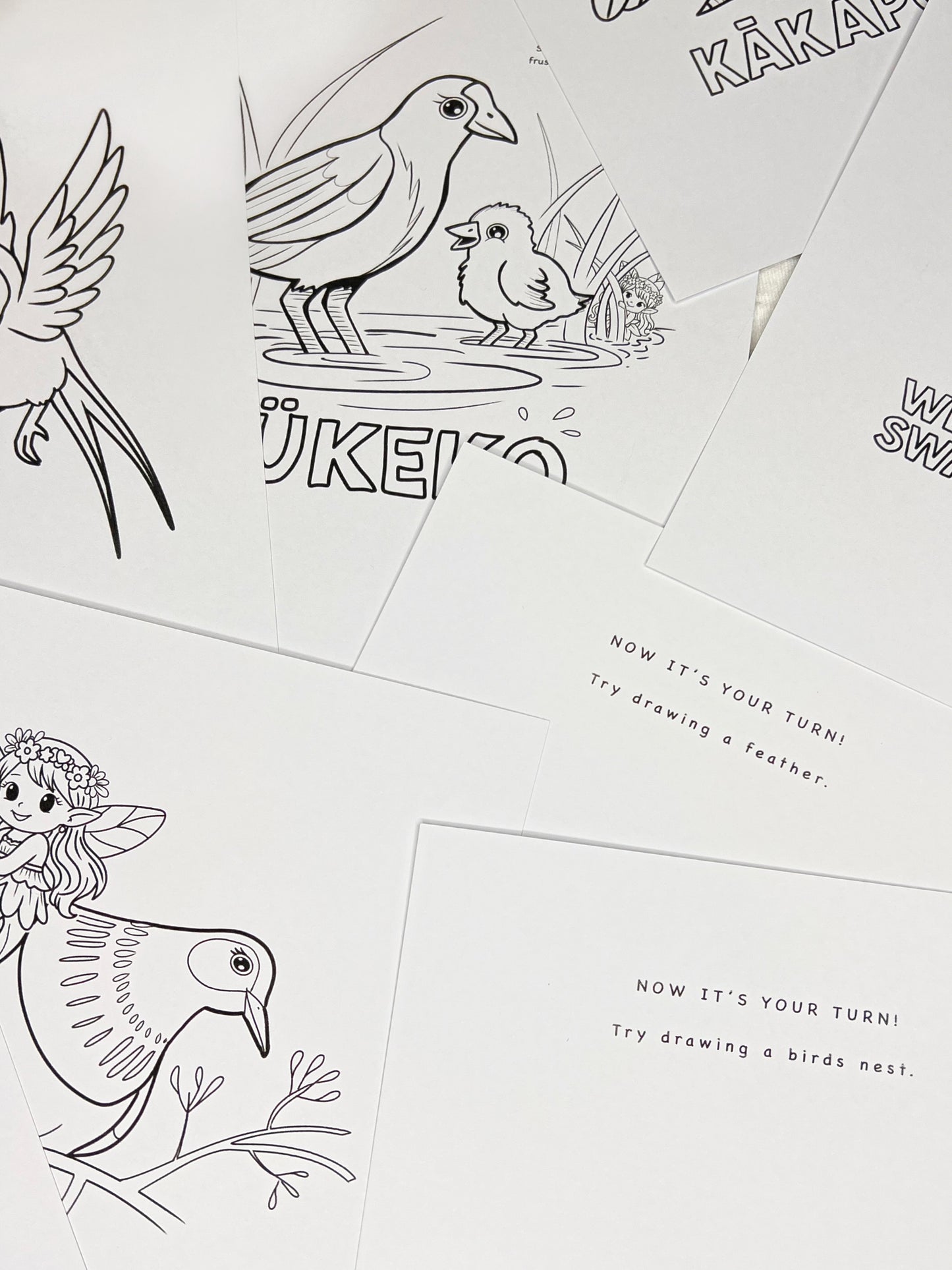 Printable Colouring stack - New Zealand bird edition