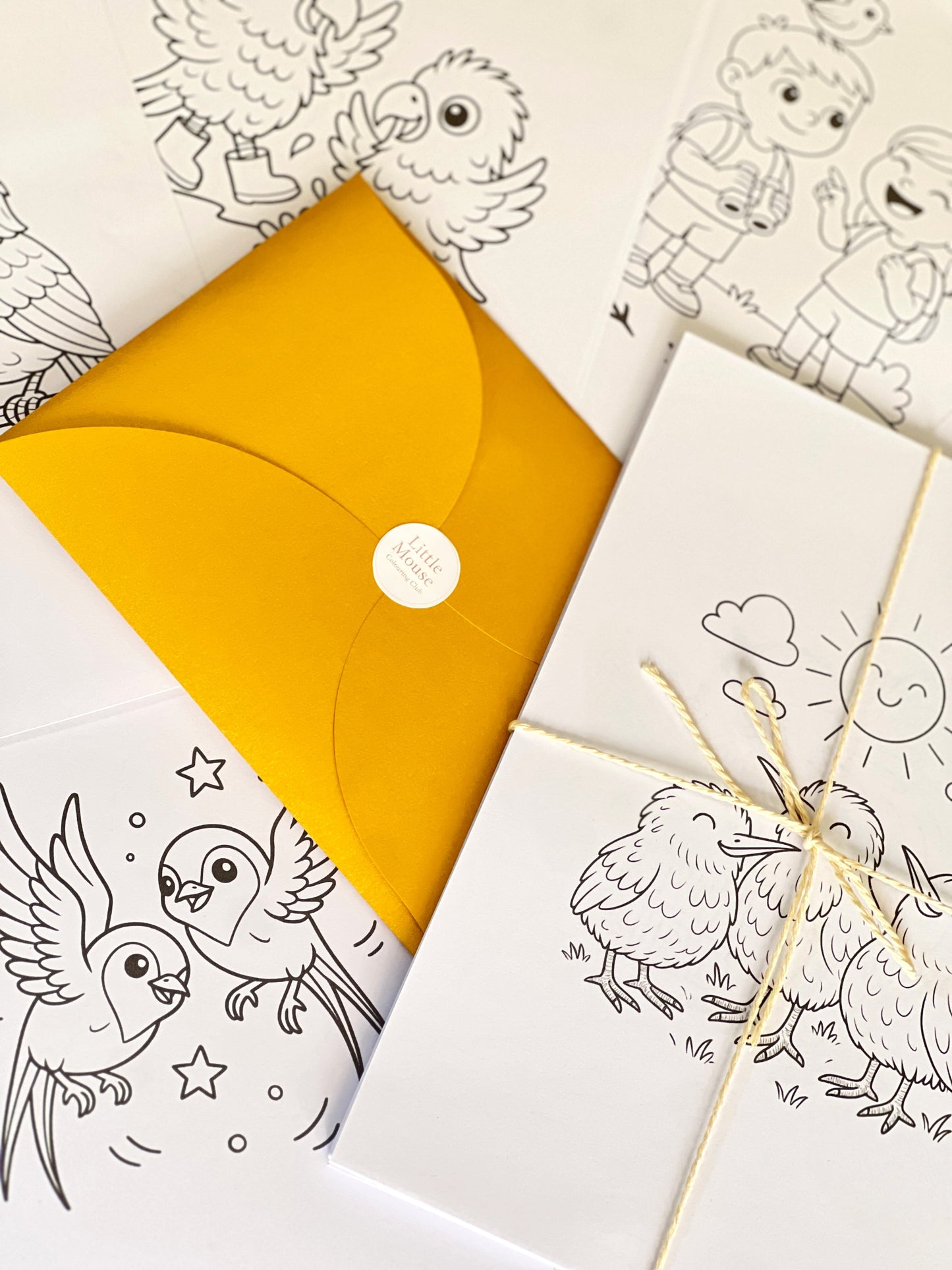 Colouring box- New Zealand Bird Edition