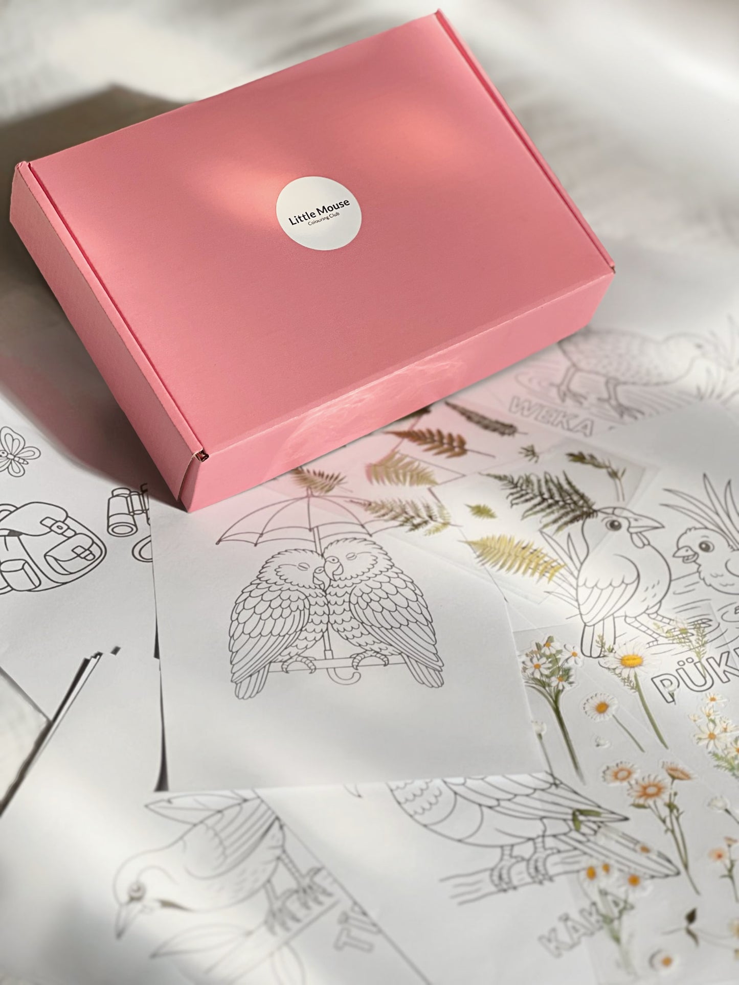 Colouring box- New Zealand Bird Edition