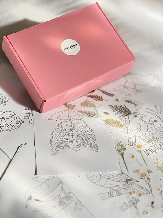 Colouring box- New Zealand Bird Edition